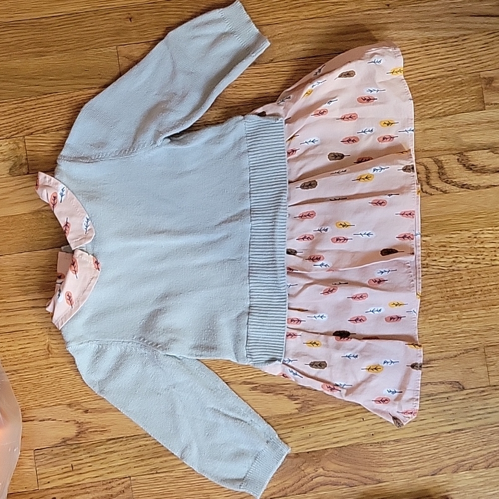 Baby Gap dress